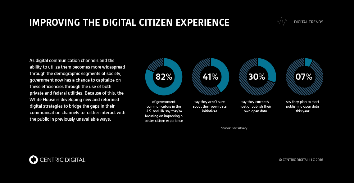 Building a Better Government Digital Strategy
