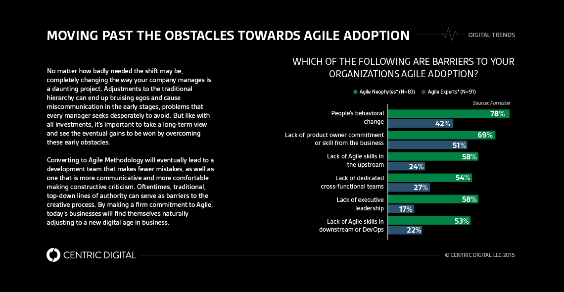 How Traditional Executives Can Adapt to Agile Methodology