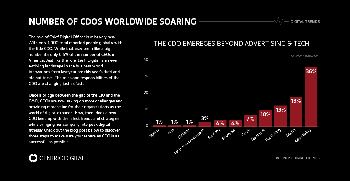 Congratulations! You’re the CDO -- Now What?